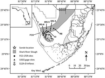 Short-Term Dissolved Organic Carbon Dynamics Reflect Tidal, Water Management, and <mark class="highlighted">Precipitation Patterns</mark> in a Subtropical Estuary